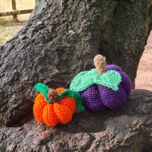 Katie @kew_crochet
