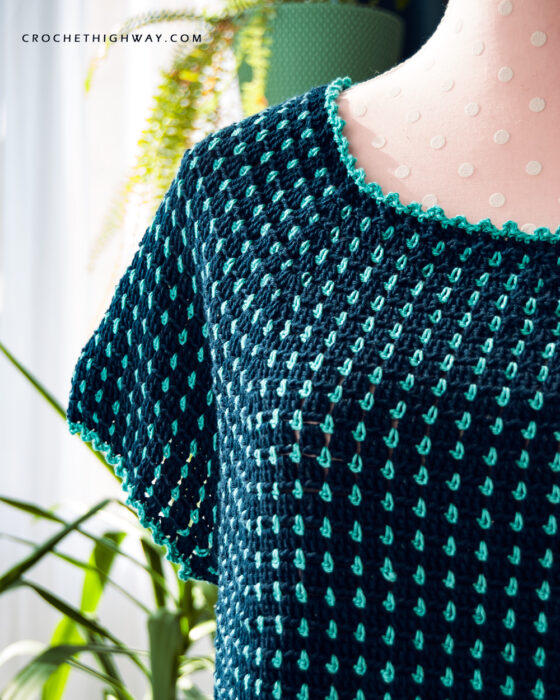 Daytrip Crochet Yoke Wide Neck Top