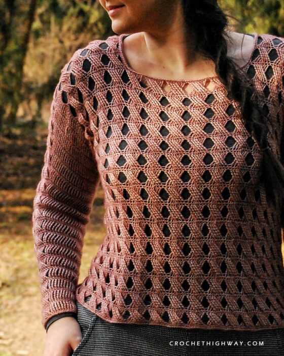 Short Sleeve Sheer Top With Crochet Details In Black