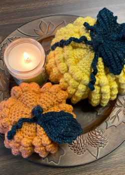 Bobblicious Pumpkin Crochet Pattern by CrochetHighway Tester Photos (12)