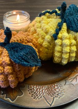 Bobblicious Pumpkin Crochet Pattern by CrochetHighway Tester Photos (13)