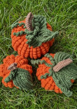 Bobblicious Pumpkin Crochet Pattern by CrochetHighway Tester Photos (21)