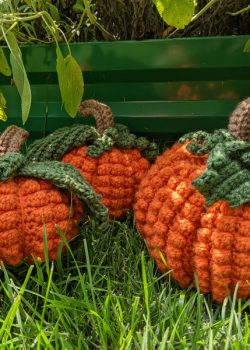 Bobblicious Pumpkin Crochet Pattern by CrochetHighway Tester Photos (22)