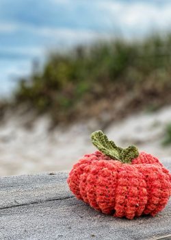 Bobblicious Pumpkin Crochet Pattern by CrochetHighway Tester Photos (23)