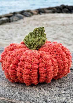 Bobblicious Pumpkin Crochet Pattern by CrochetHighway Tester Photos (24)