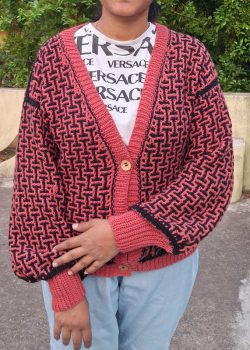 Poornima @krosha_prapancha-13