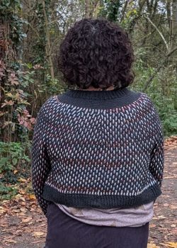 Rachel @craftydarnfox (27)